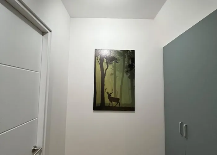 Appartement Lara - Divcigora